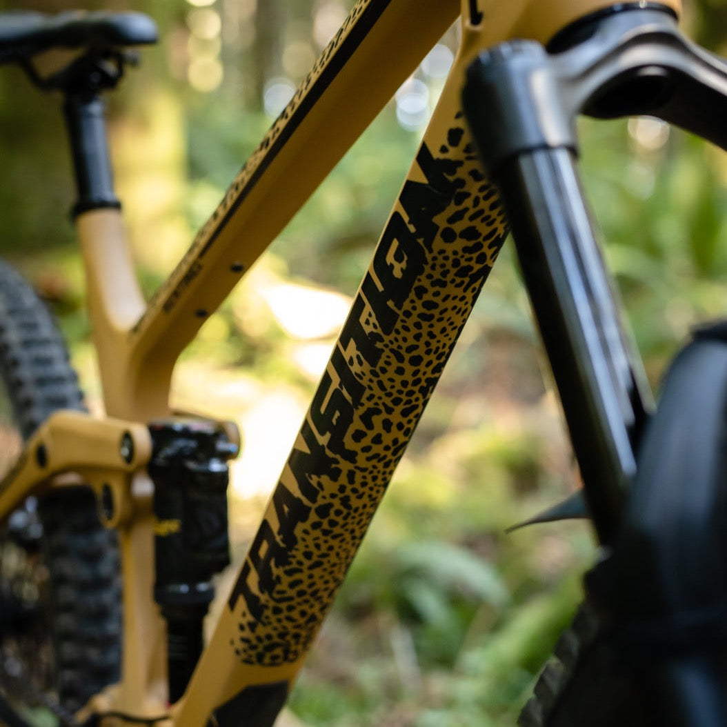 Ground Keeper Custom Cheetah Frame Keeper