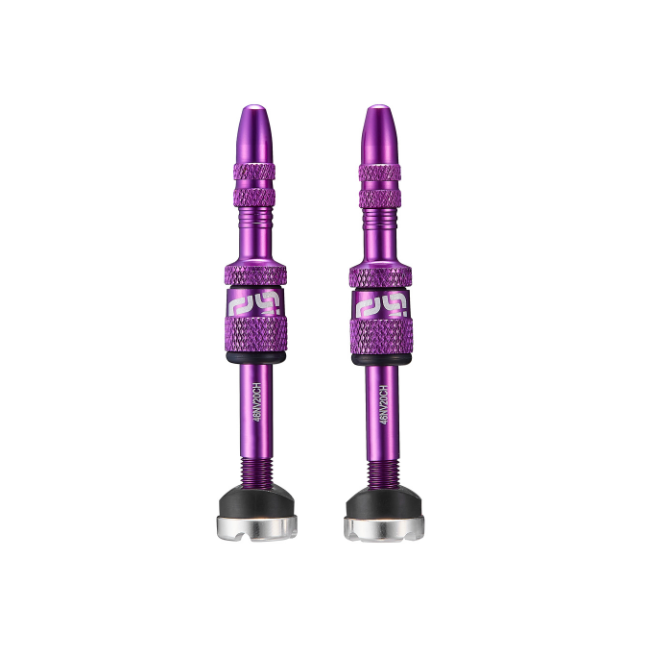 e*thirteen Quick Fill Presta Tubeless Valves