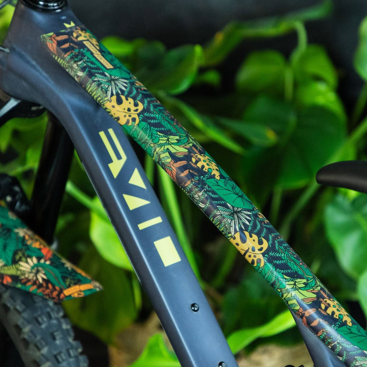 Ground Keeper Custom Botanic Revival Frame Keeper