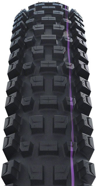 Schwalbe Albert Tire - 29 x 2.50, Tubeless, Folding, Black, Evolution Line, Trail Pro, Addix Ultra Soft, Radial
