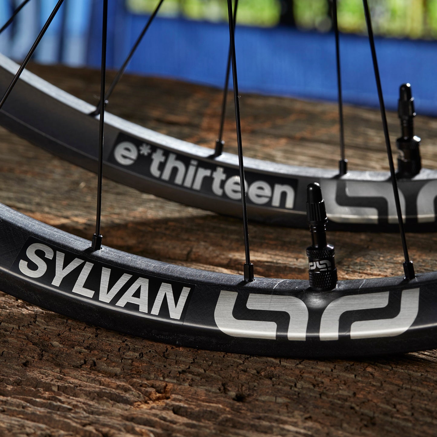 e*thirteen Sylvan Race Carbon e*spec All Mountain Wheels - Superboost 157 Rear
