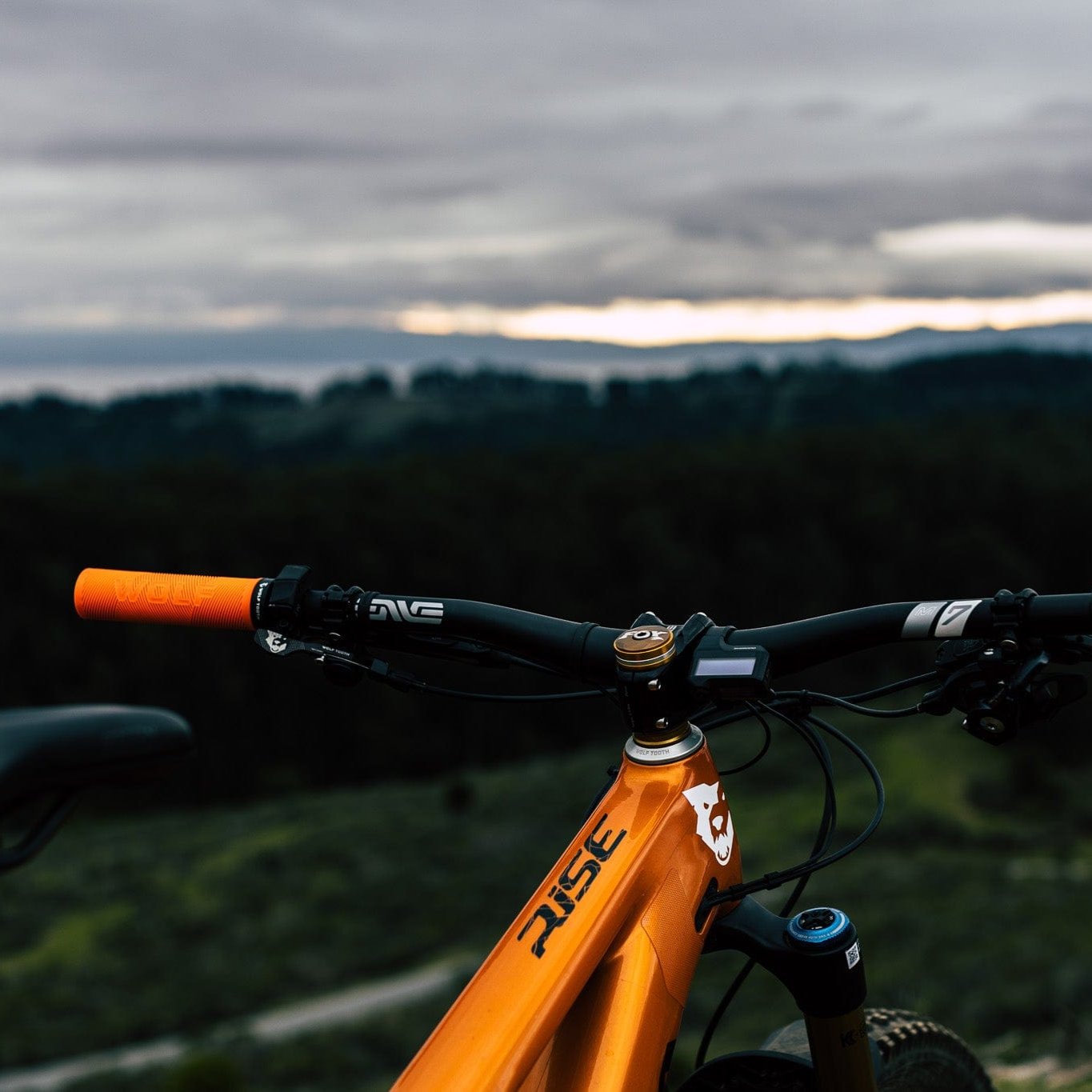 Wolf Tooth Components Echo Lock-On Grips – Colors