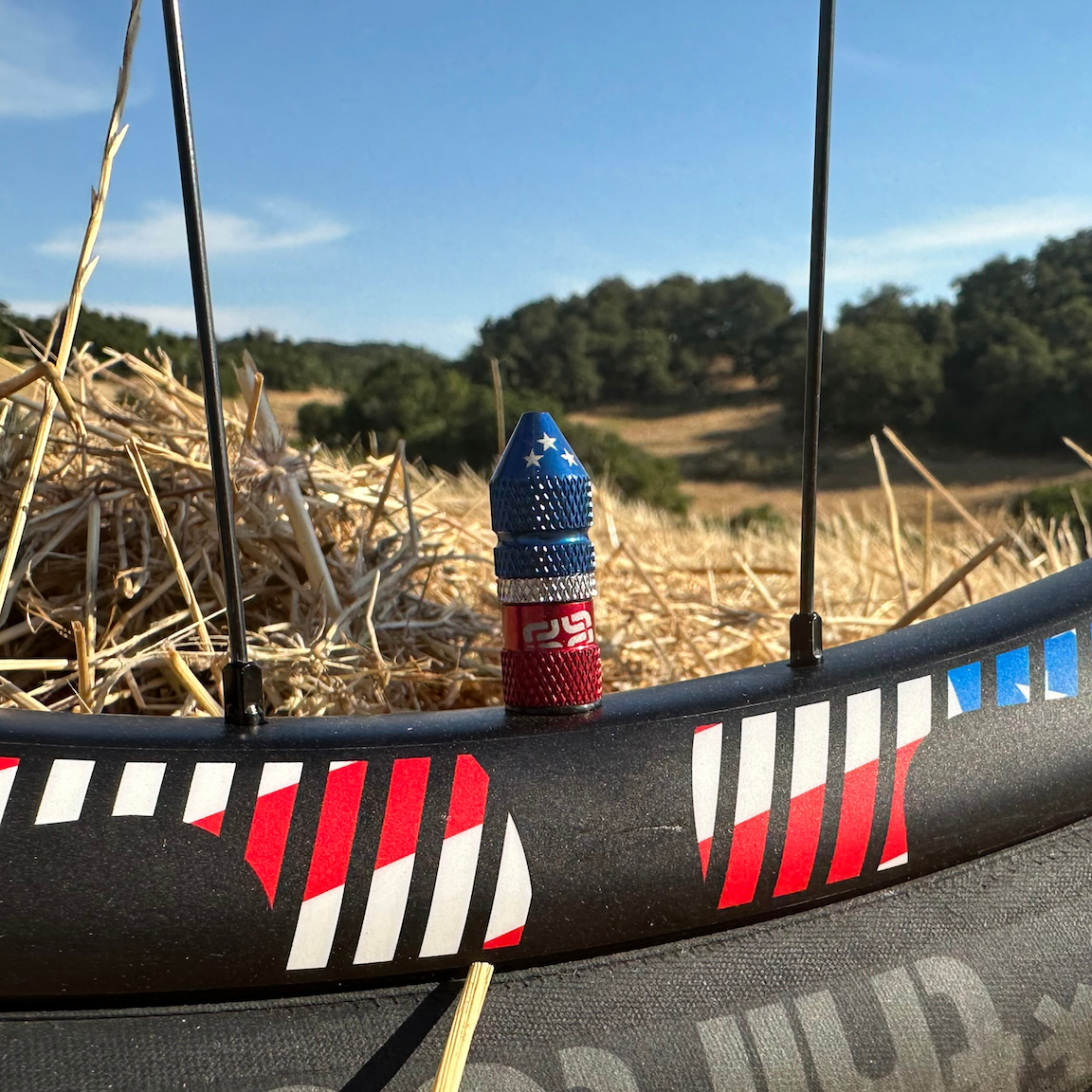 Quick Fill Schrader Tubeless Valves