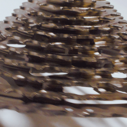 e*thirteen Helix Race 12-Speed 9-50T Cassette