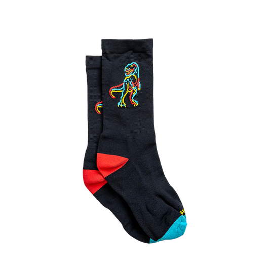 Handup Socks - Dino's End