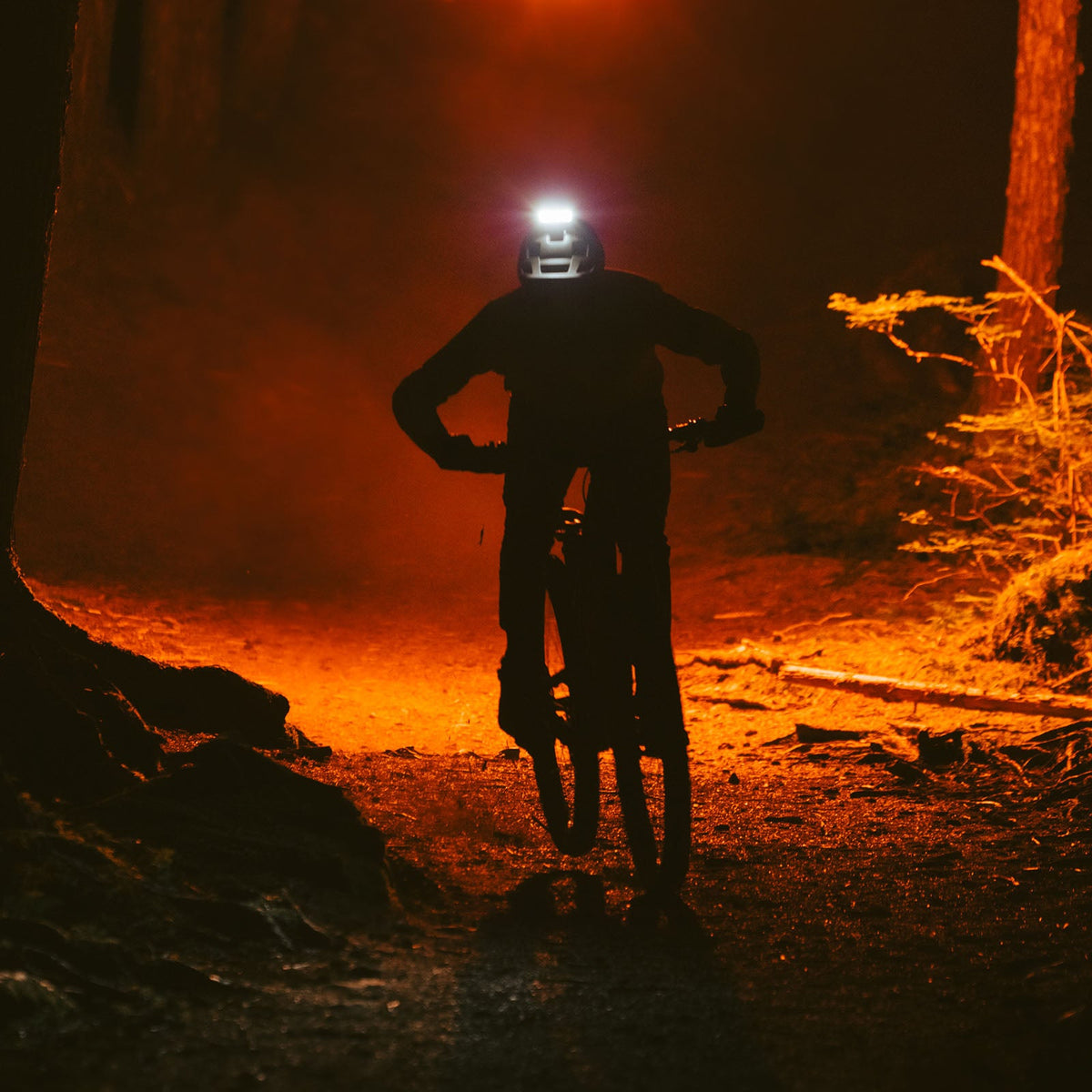 Mountain biker stopped on a forest trail at night with the Portal helmet light switched on